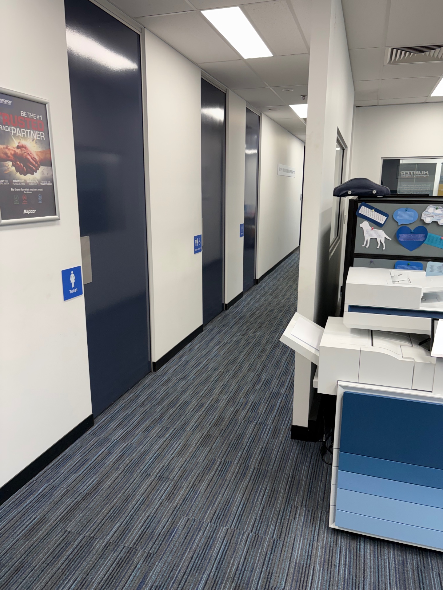 Freshly vacuumed office corridor and carpet after commercial cleaning